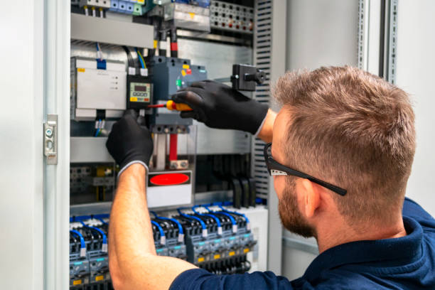 Best Electric Panel Repair  in Quitman, TX